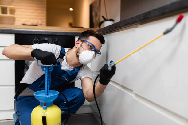 Best Termite Control Services  in Riverwoods, IL