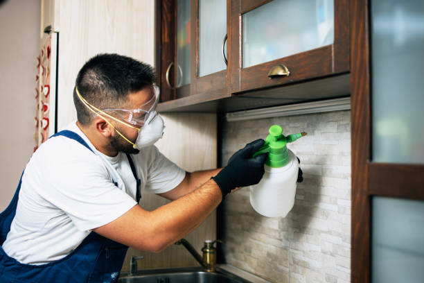 Best Affordable Pest Control Services  in Riverwoods, IL