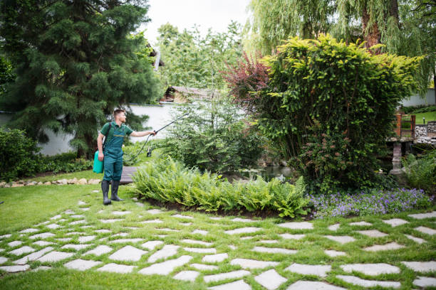 Best Wasp Removal Services  in Riverwoods, IL