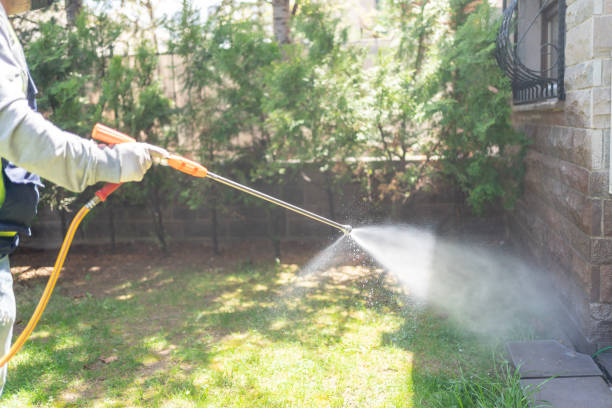 Best Flea Control Services  in Riverwoods, IL