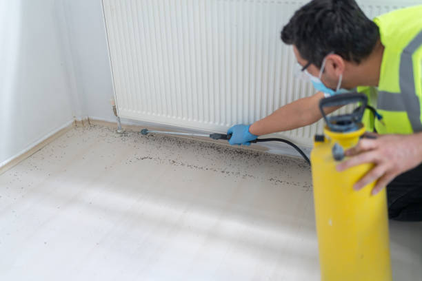 Reliable Riverwoods, IL Pest Control Solutions